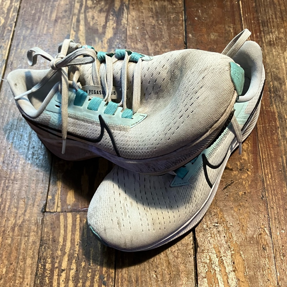 Nike Pegasus 38
